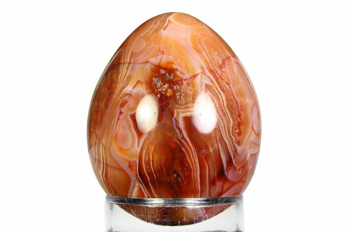 Vibrant Polished Carnelian Agate Egg - Madagascar #355471